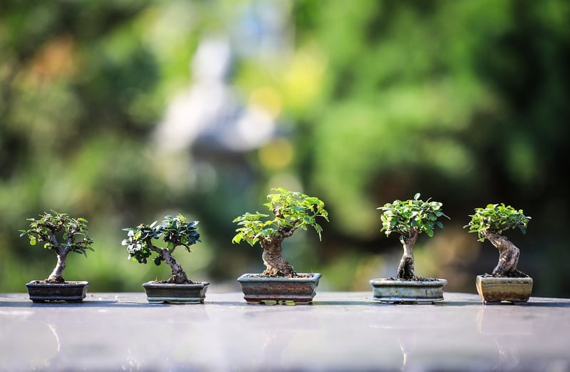 Gardening Services