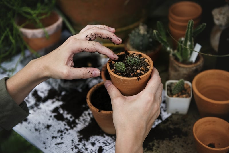 Organic Gardening Masterclass